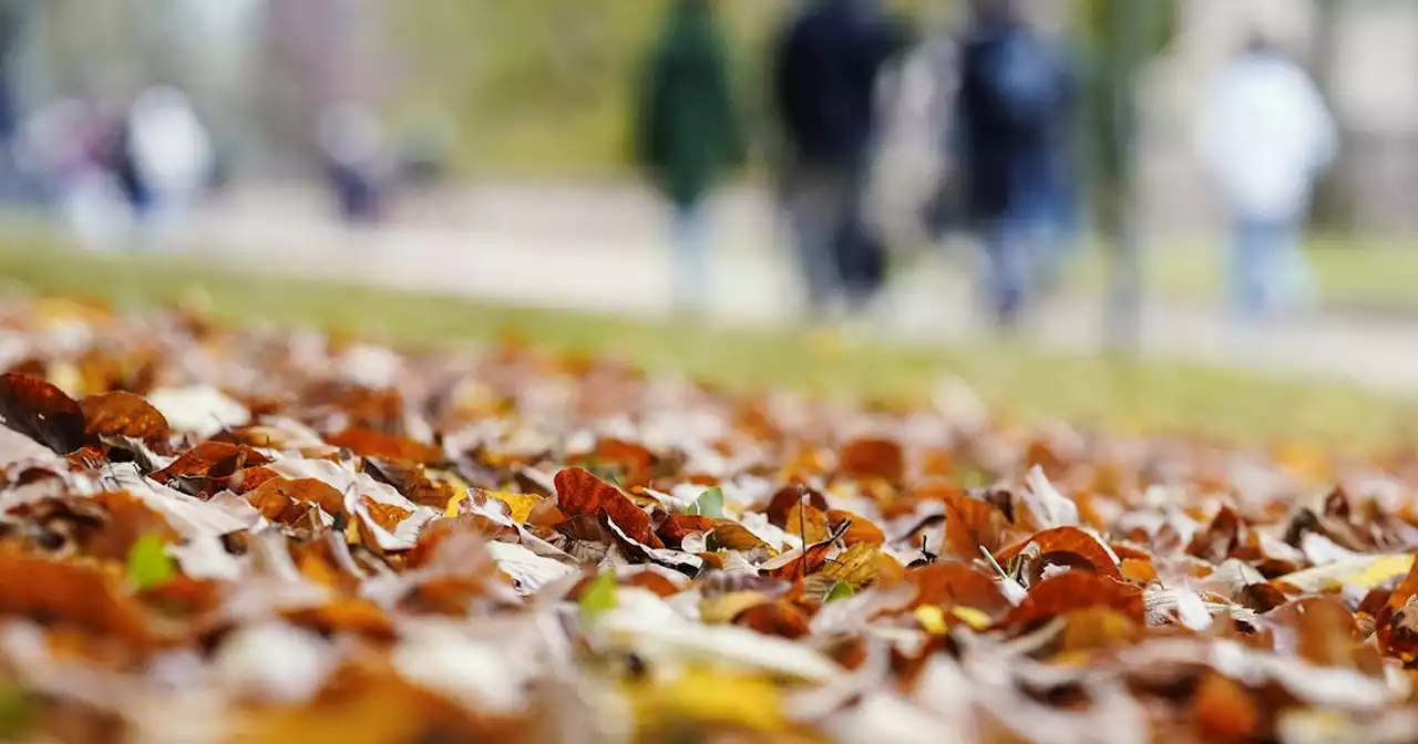 Wetter: So warm wird es diese Woche im Saarland (mit Video)