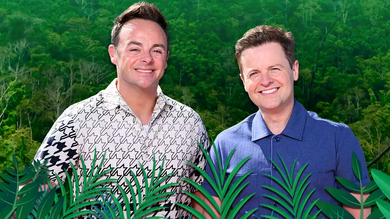 I'm A Celeb finally underway as stars battle it out to rule the jungle