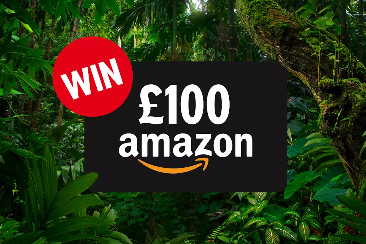 Win one of FIVE Amazon vouchers worth £100