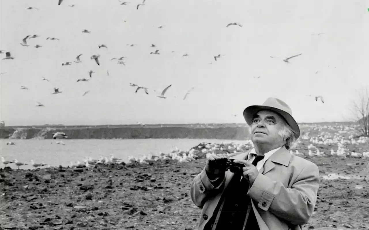 How the Leslie Street Spit went from garbage dump to urban wilderness