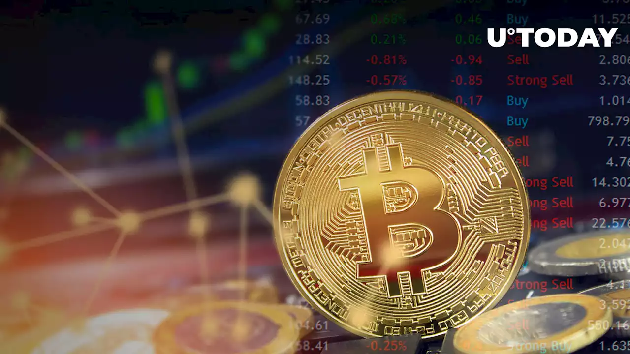 3 Reasons Why Bitcoin Traders Are Seriously Betting on Higher Prices