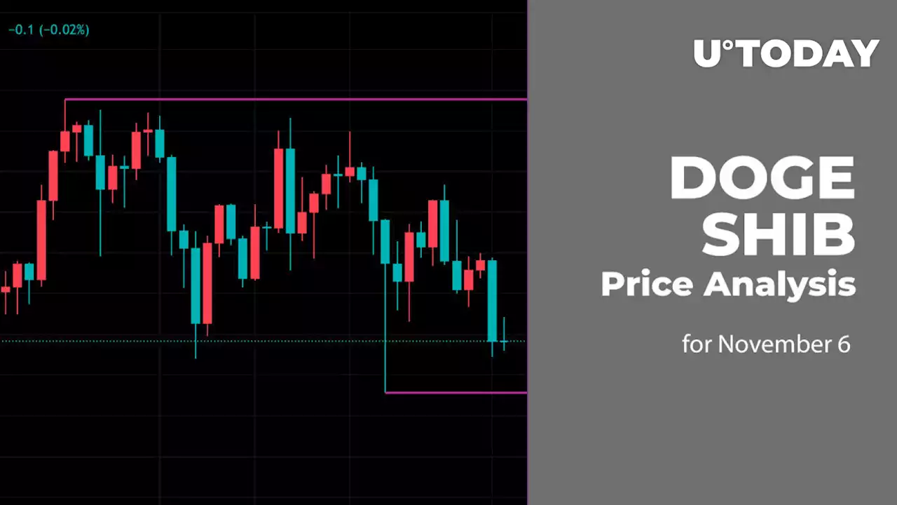 DOGE and SHIB Price Analysis for November 6