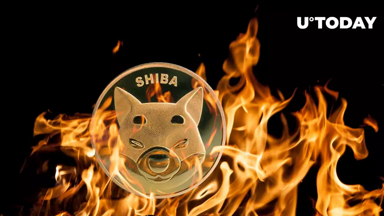 SHIB Burning Makes Leap, Here's How Much Was Burned Last Week