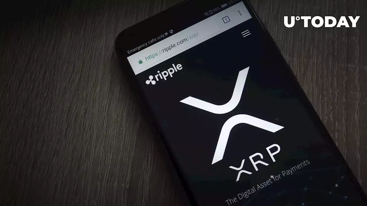 XRP Absorbs $1.1 Million in Fund Flows as Investors Bet on Ripple Side