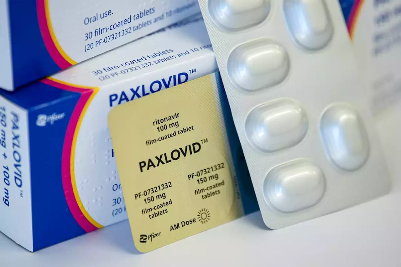 Paxlovid Cuts the Risk of Long COVID: VA Study