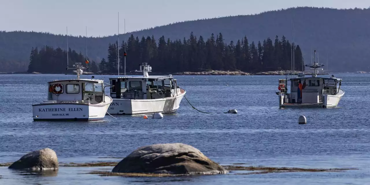 Dispute Over Protecting Whales, and Lobster Fishing, Heats Up in Maine