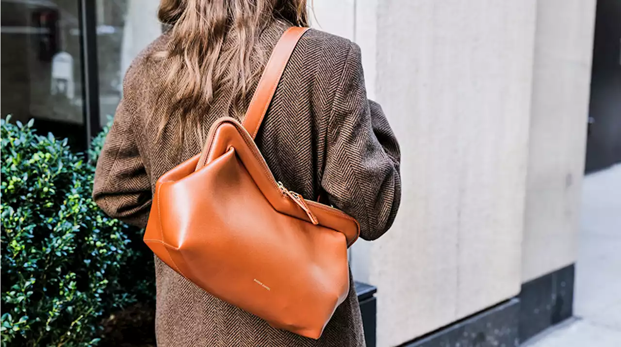 Bag Check: An Honest Review of Mansur Gavriel’s M Frame Shoulder Bag