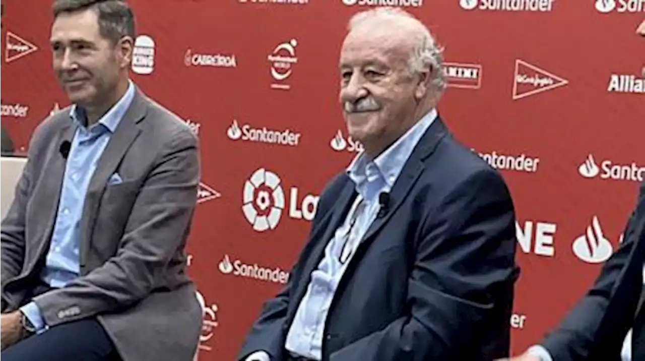 'España está entre los candidatos' afirmó Del Bosque, DT campeón en 2010