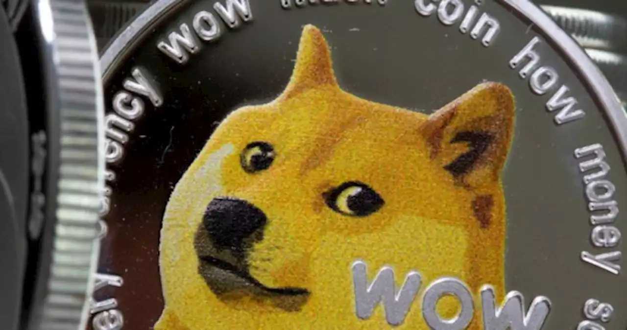 Cryptoverse: Elon Musk frees the bird and the dog coin flies