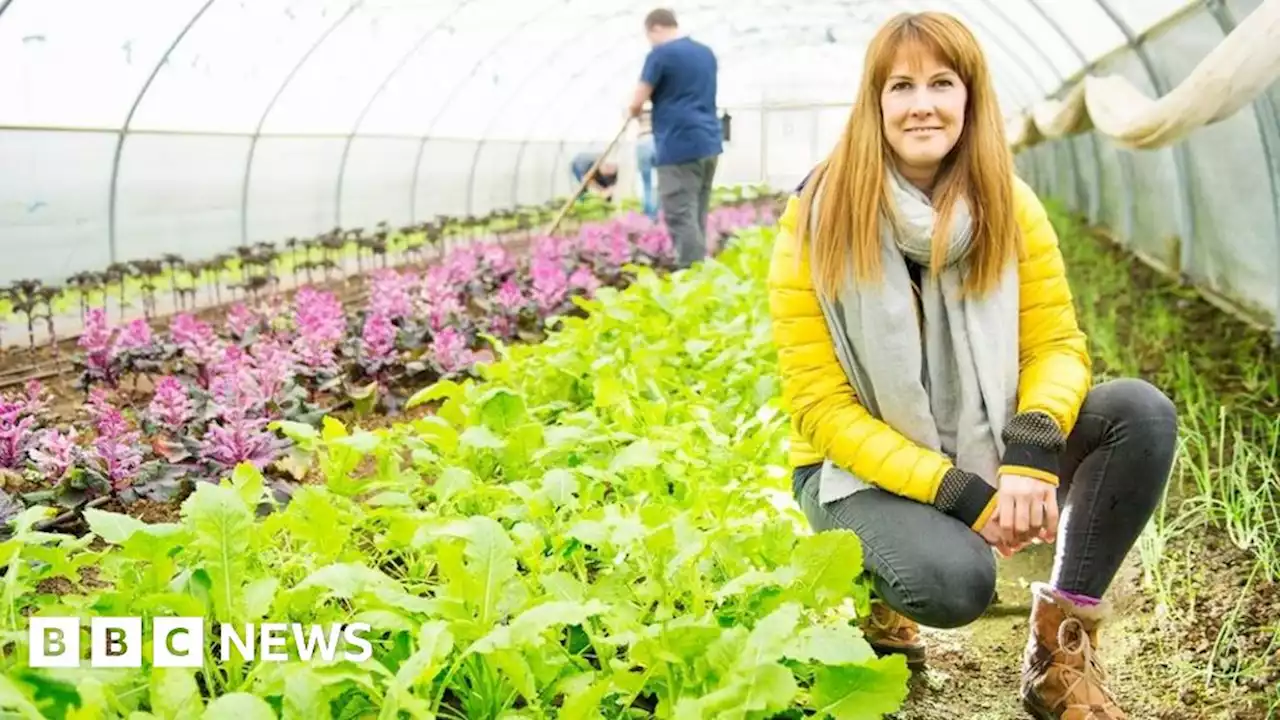 M6 Tebay Services' therapy garden given green light