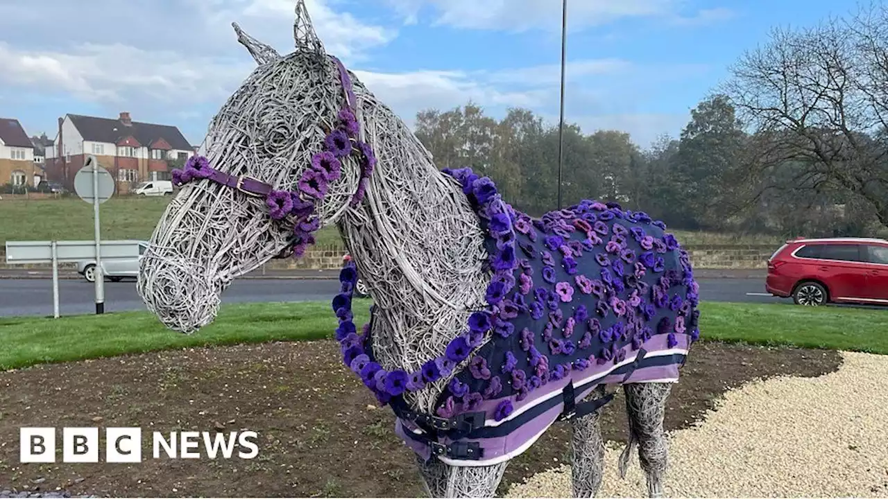 Purple poppies to remember animals who died in war