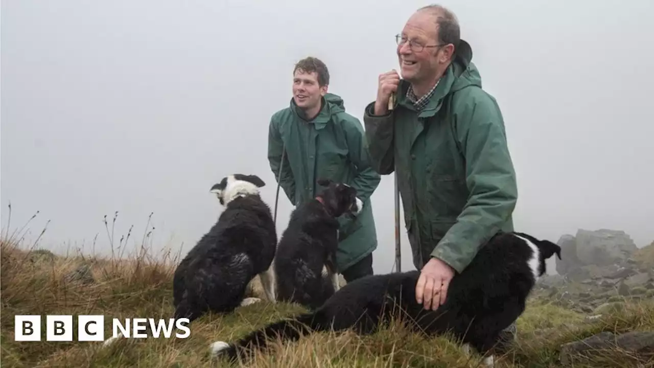 Yorkshire Dales: New investment in ancient grazing practice