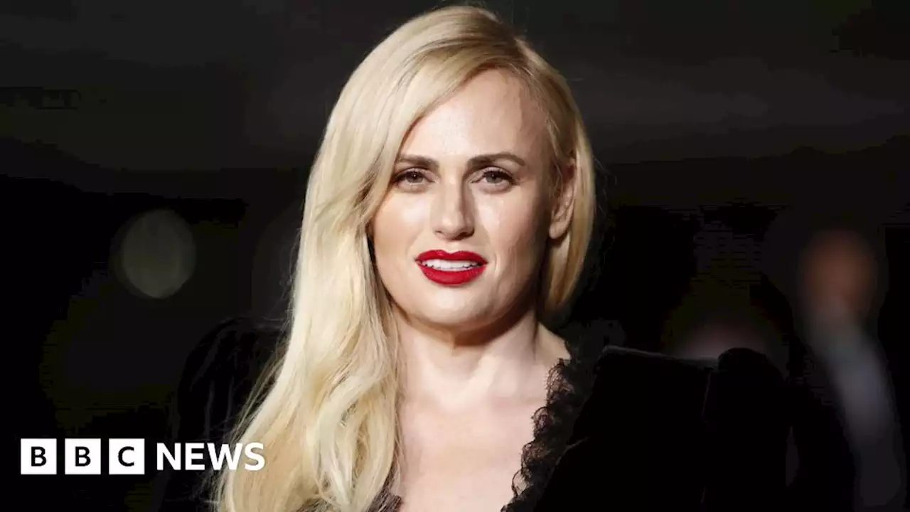 Rebel Wilson announces birth of child by surrogate