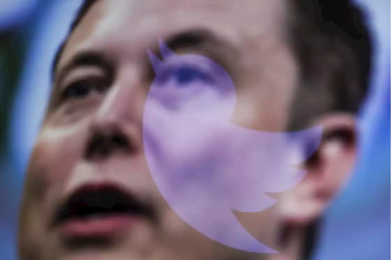 Podcast: Elon Musk und Twitter: Kann das gutgehen?