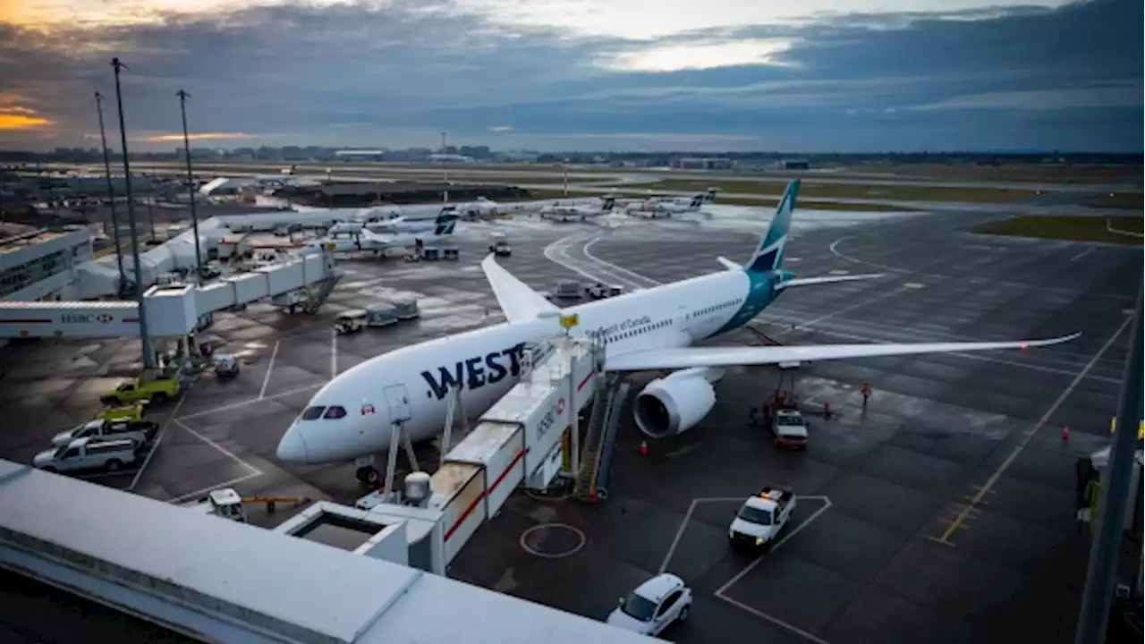 Stranded passengers call for more accountability for WestJet flight cancellations - BNN Bloomberg