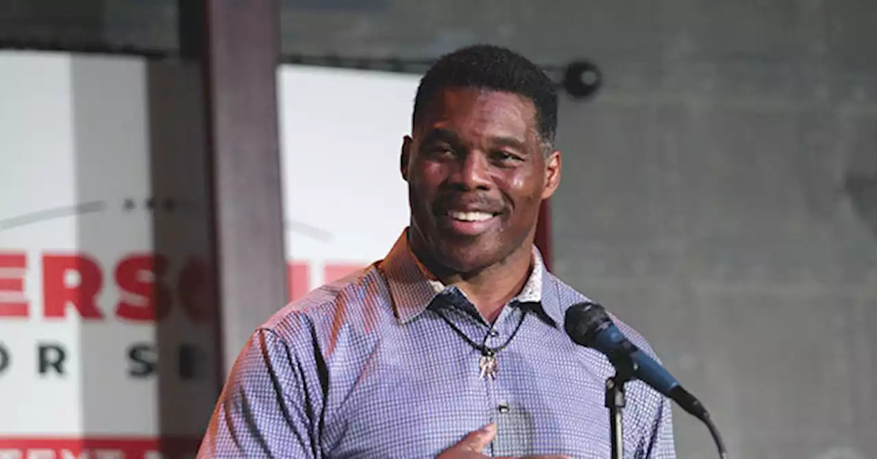 Herschel Walker Beating Warnock in Last Three Polls on Election Day Eve