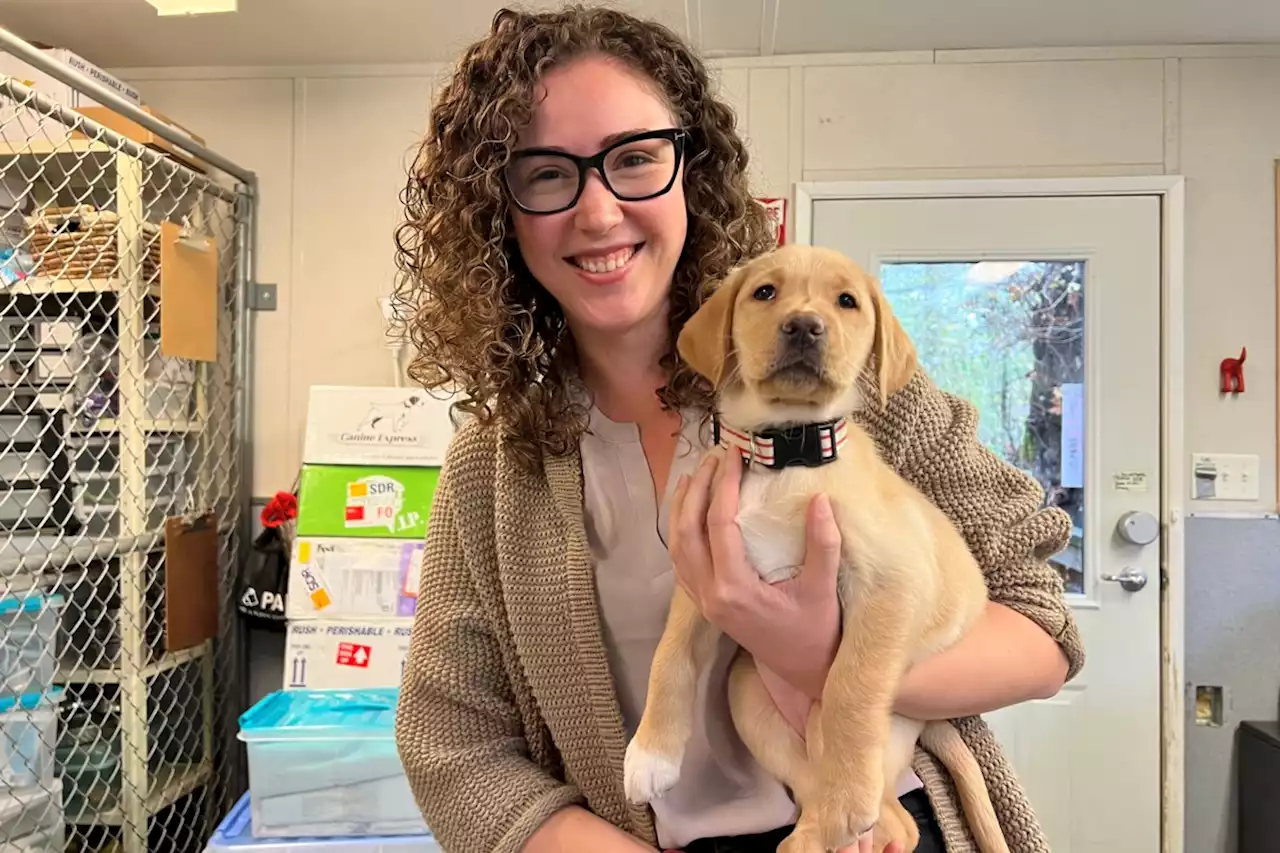 Burnaby group seeks facility to train puppies as assistance dogs