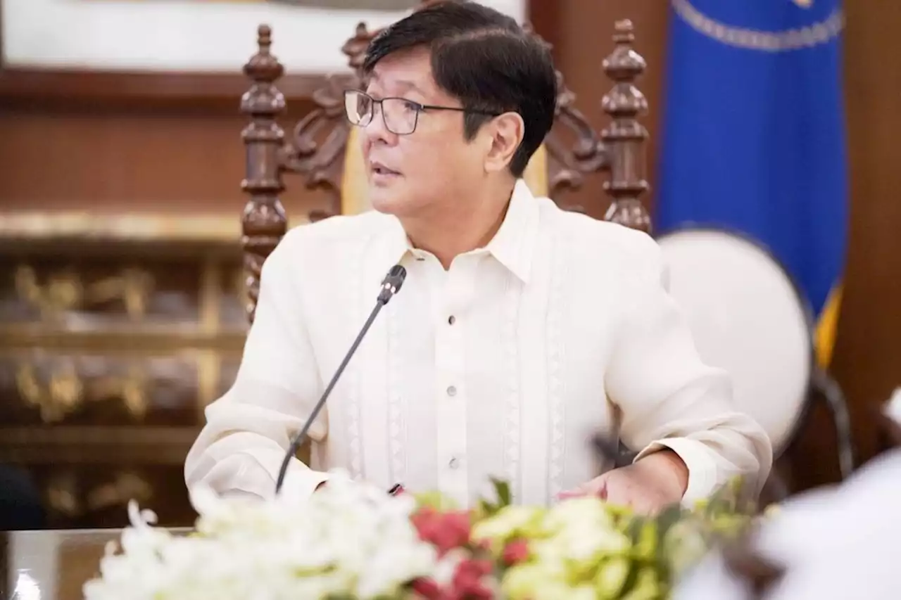 Marcos to issue EO on reserving idle government land for housing development - BusinessMirror