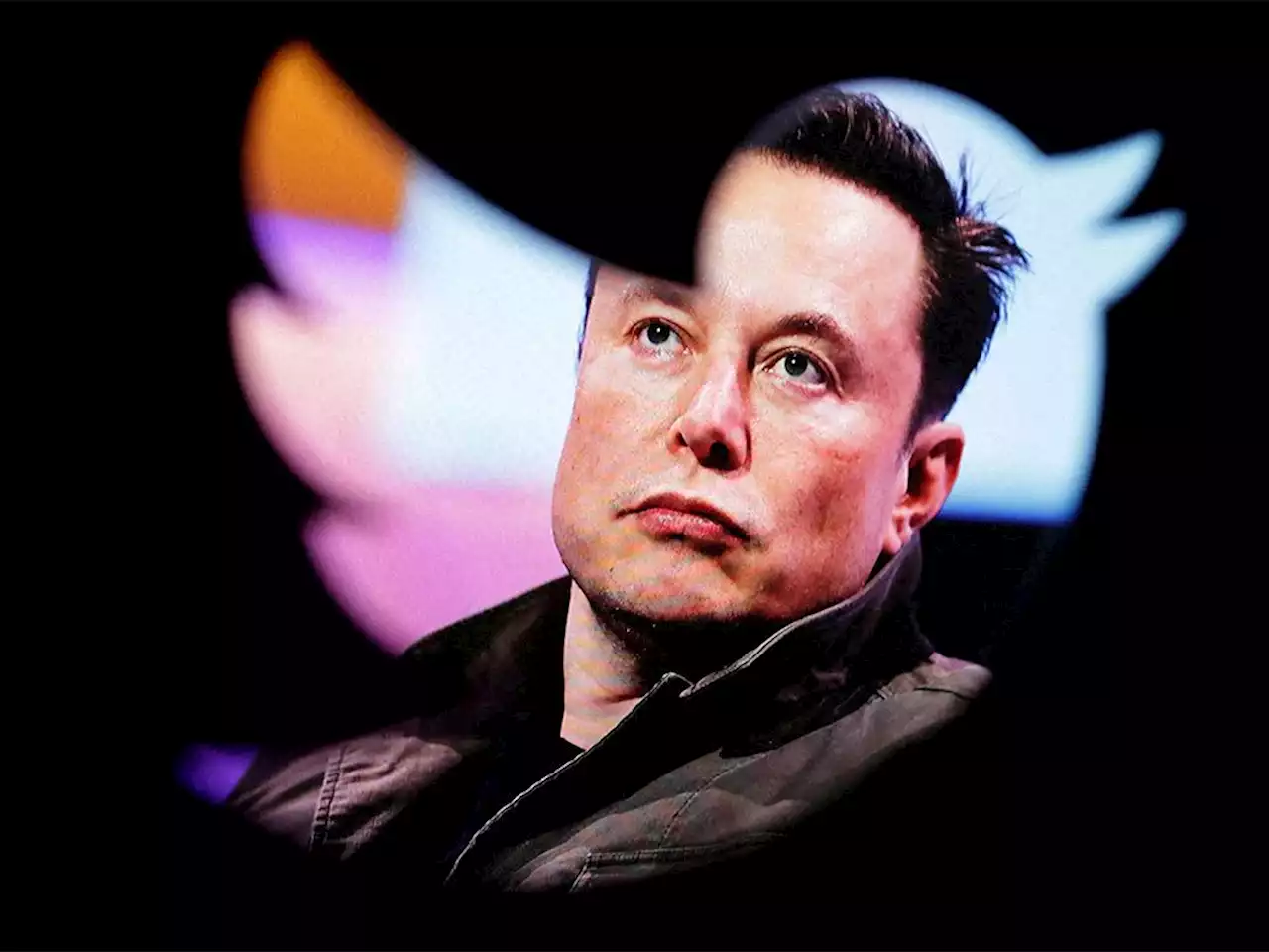 From tweets to 'toots': Twitter users flock to alternatives after Musk's takeover