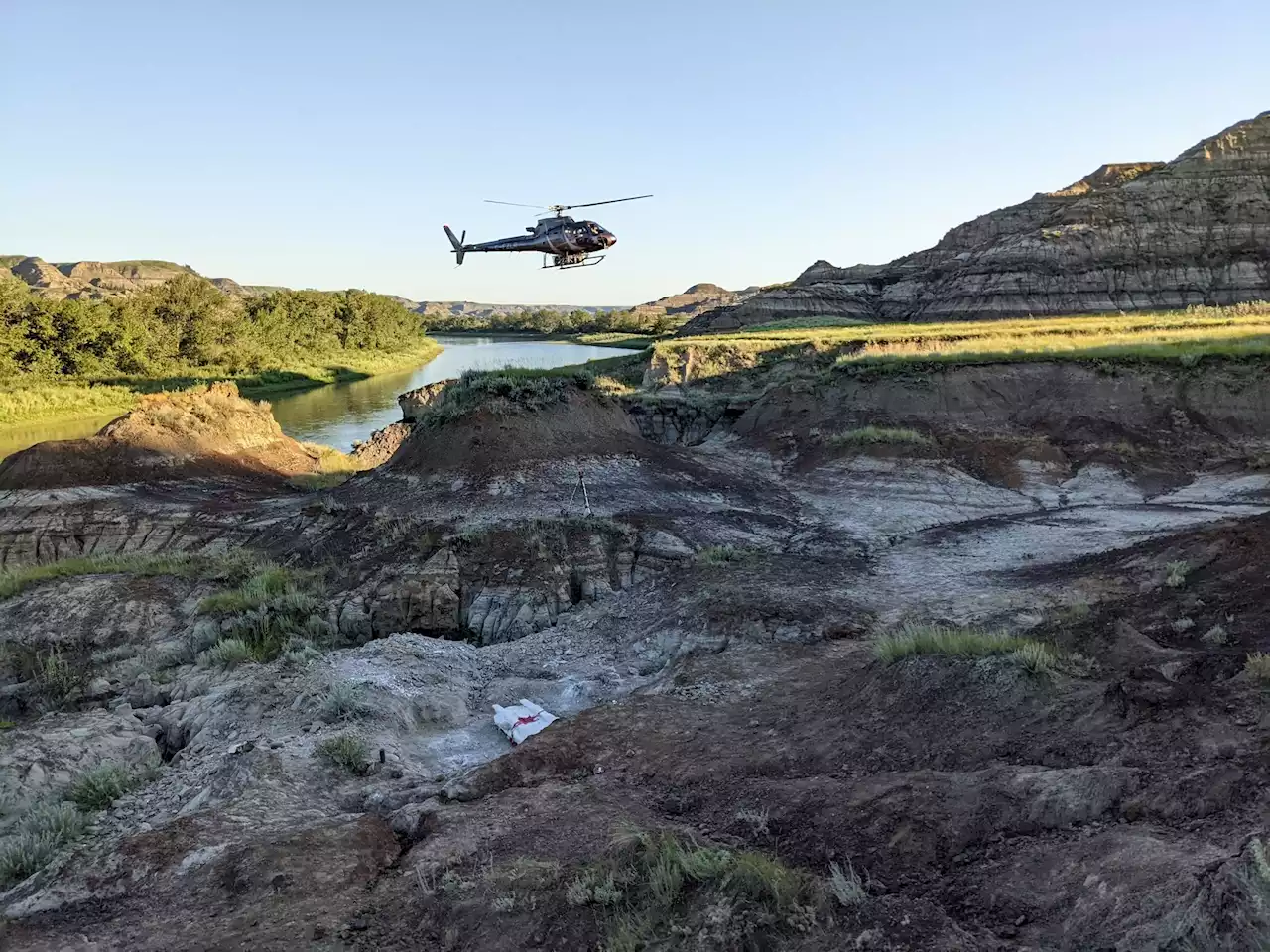 Volunteer helicopter airlift preserves Alberta fossil find