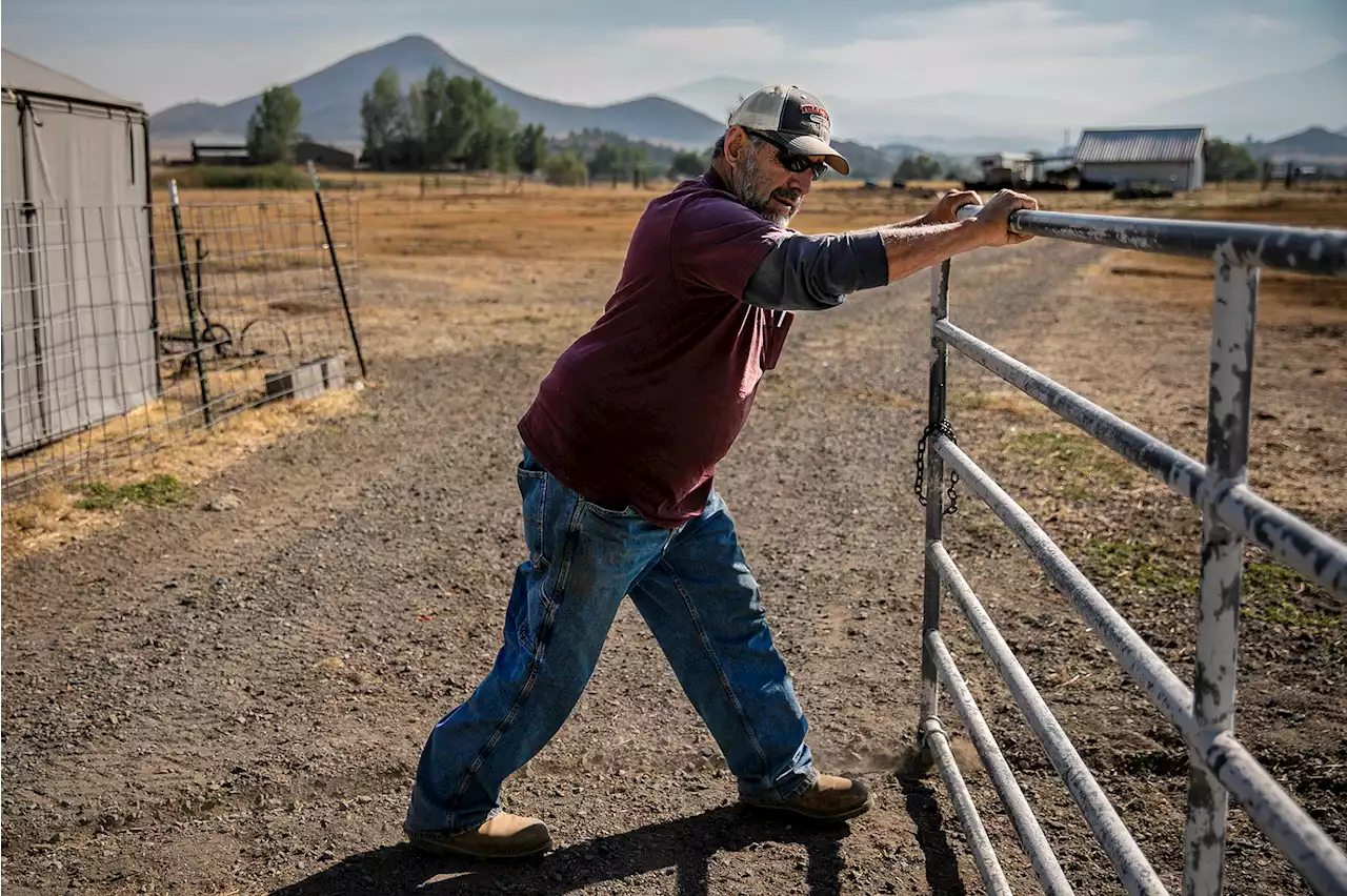 Rural ranchers face $4,000 proposed fine for violating state drought order