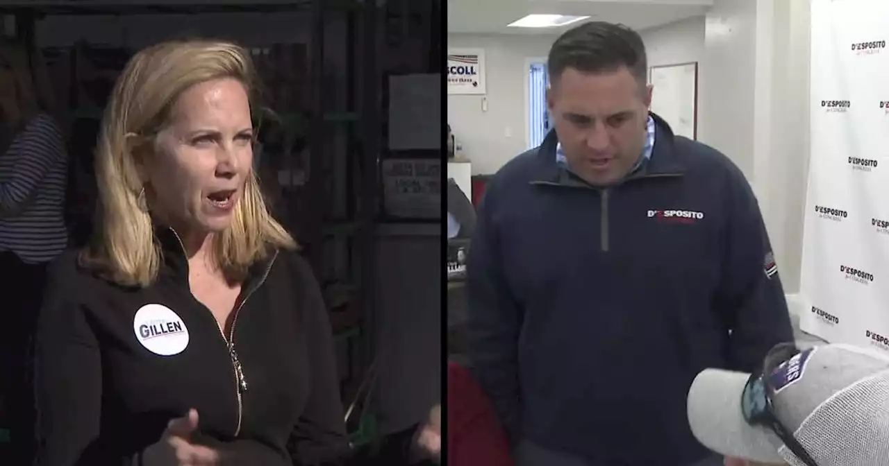 Laura Gillen vs. Anthony D'Esposito highlights 4 huge Congressional races on Long Island