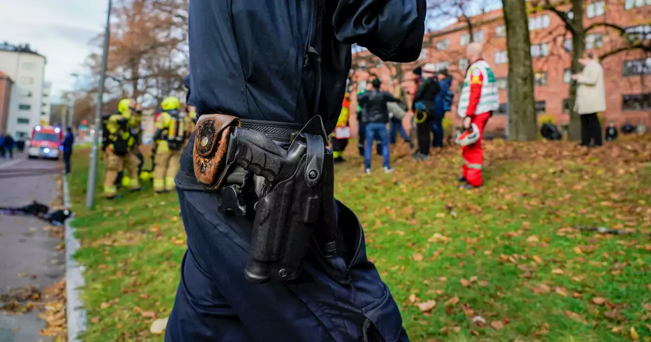 Farvel til våpnene