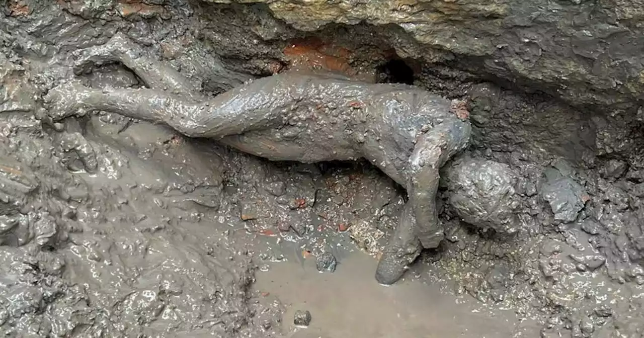 Italian archaeologists discover over two dozen ancient bronze statues