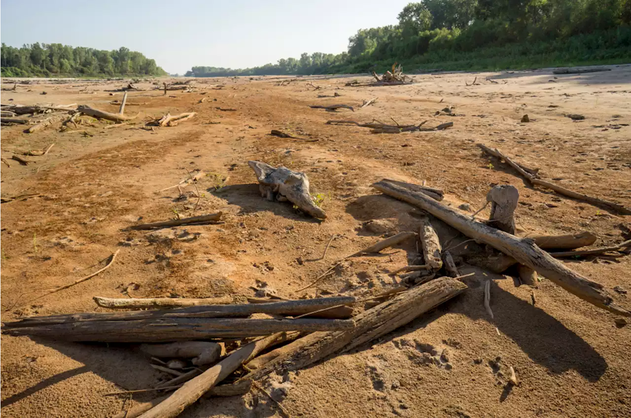 Tower Rock And Shipwrecks Exposed In Mississippi River Drought