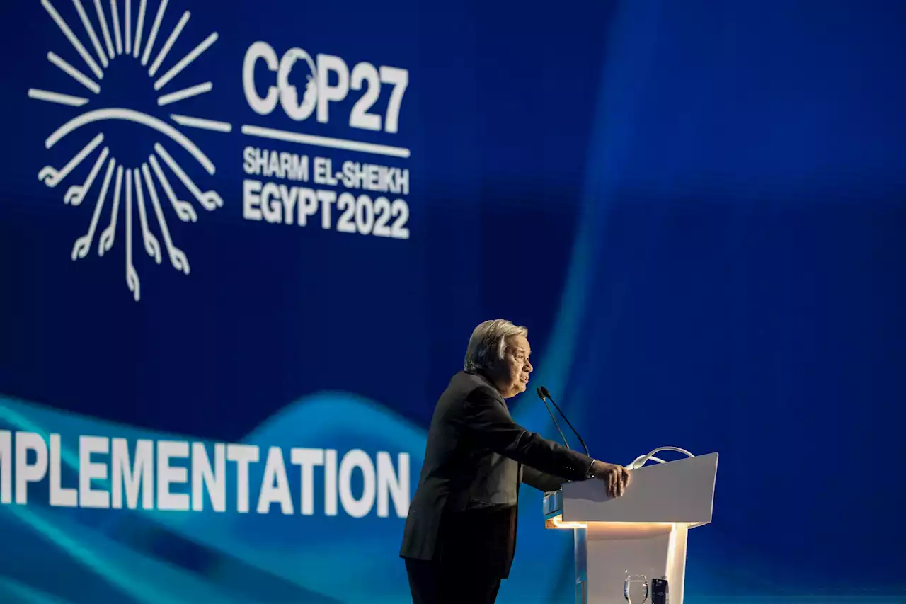 Klimakonferenz - UNO-Generalsekretär Guterres sagt 'Greenwashing' den Kampf an