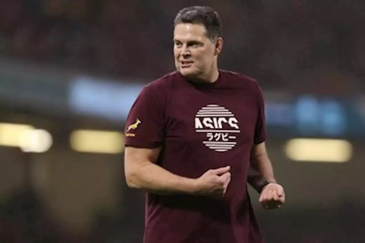 WATCH: Rassie Erasmus puts officials on blast with subtle dig video