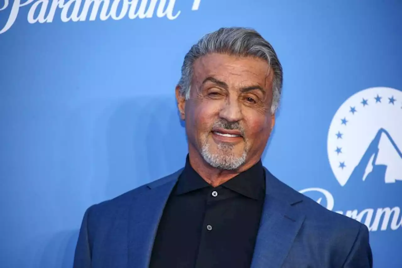 Sylvester Stallone Reveals Which MCU Character He Wishes He Could Have Played