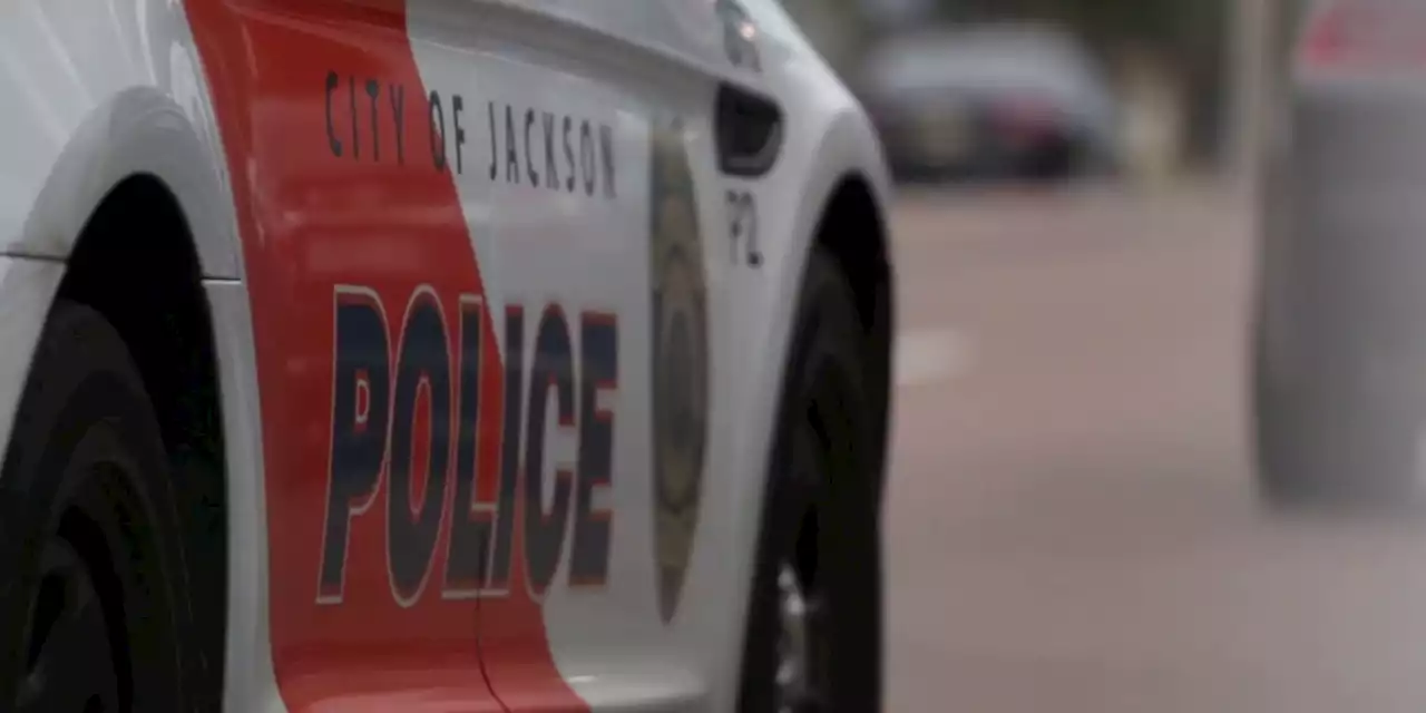 Authorities: Dog found carrying human arm in Jackson; head still missing