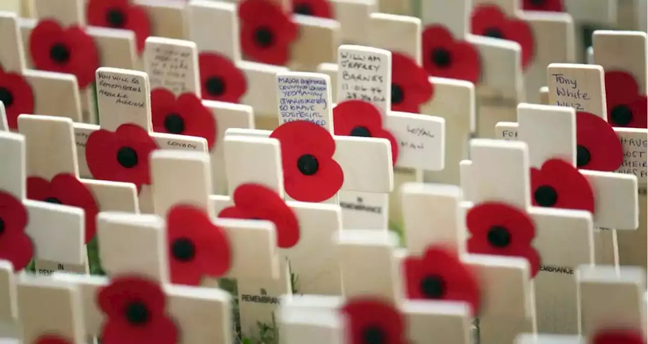 When you should observe a two-minute silence this week for Remembrance