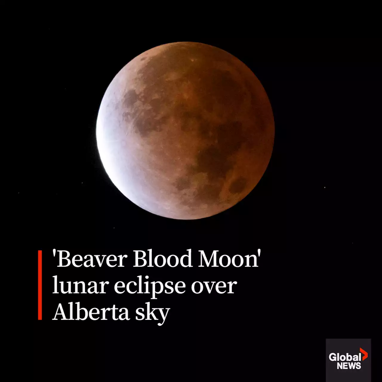 Full eclipse of ‘Beaver Blood Moon’ over Alberta sky | Globalnews.ca