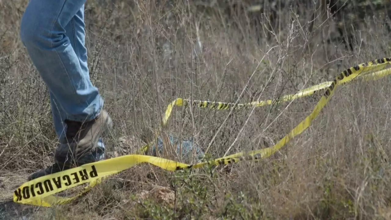 Hallazgo macabro en Michoacán: encuentran ocho cuerpos en fosa clandestina de Tarímbaro