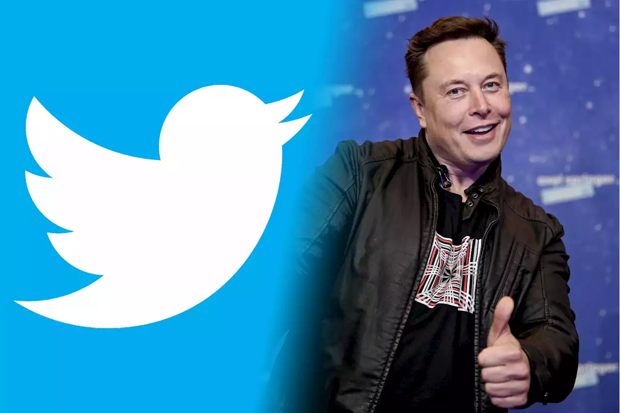 Elon Musk ha considerado en volver Twitter completamente de pago