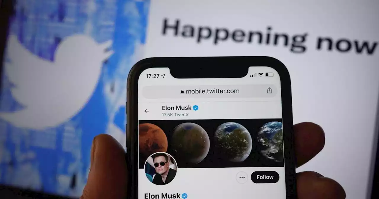 Twitter says user growth has picked up since Elon Musk took over