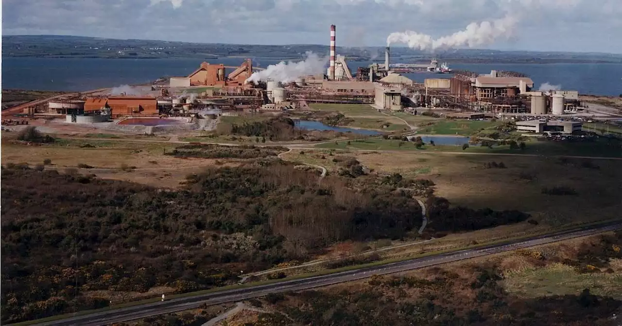 Environmental group wants High Court to quash permission for deposition expansion at Limerick alumina plant