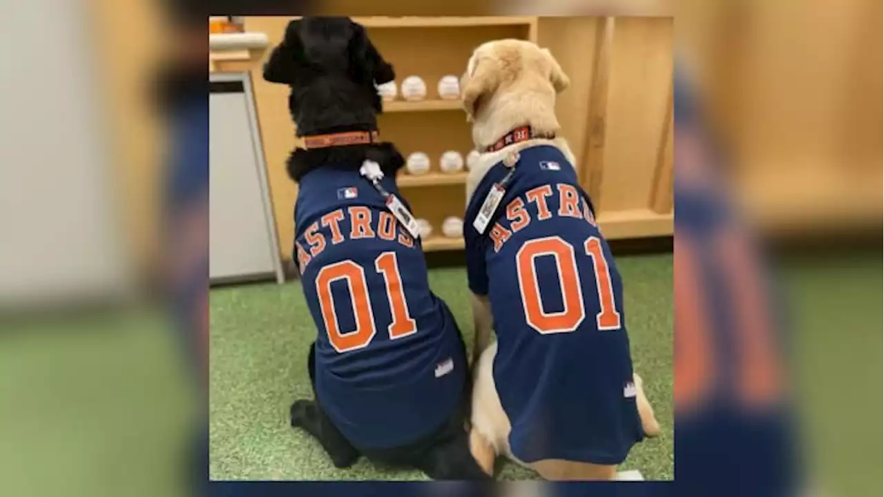 PHOTOS: Facility dogs show Astros spirit at Children’s Memorial Hermann Hospital