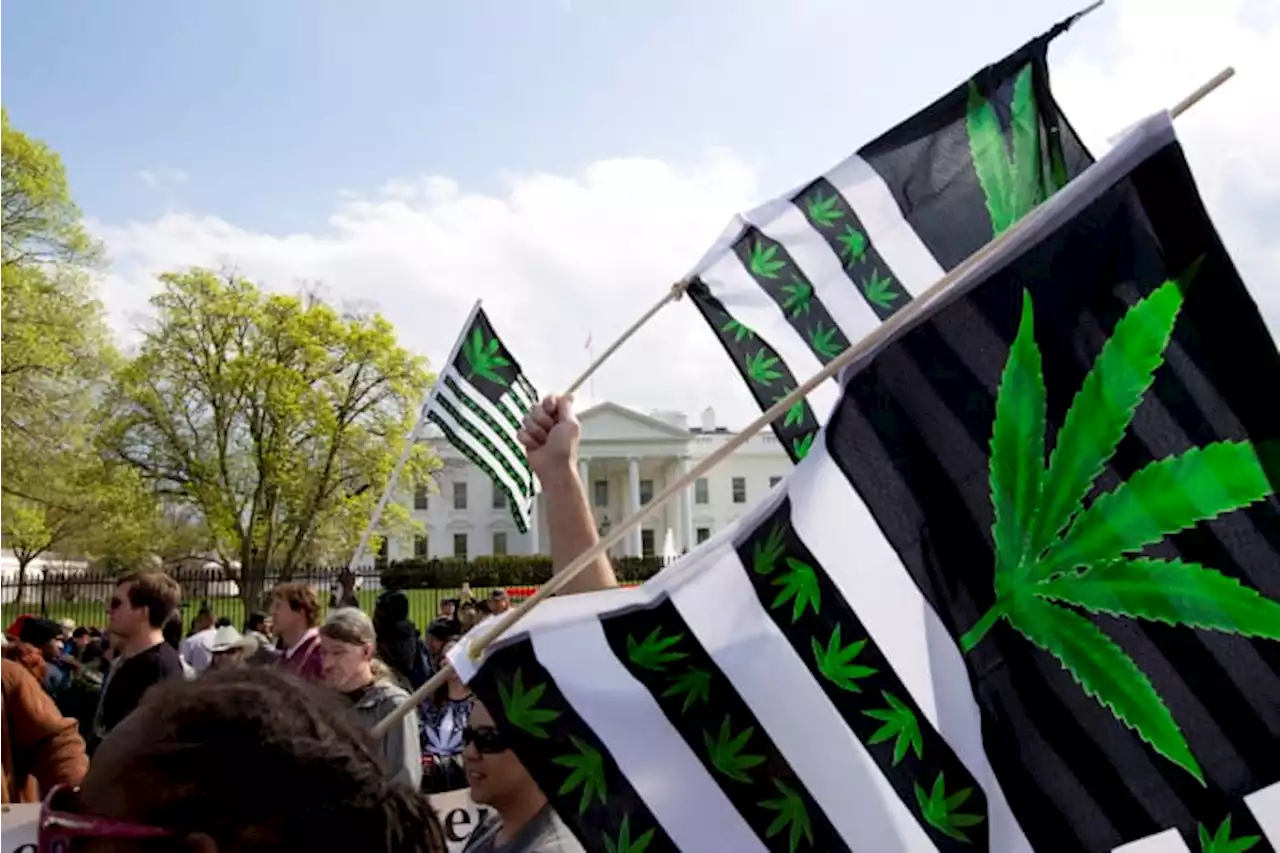 Voters in 5 states decide whether to legalize marijuana