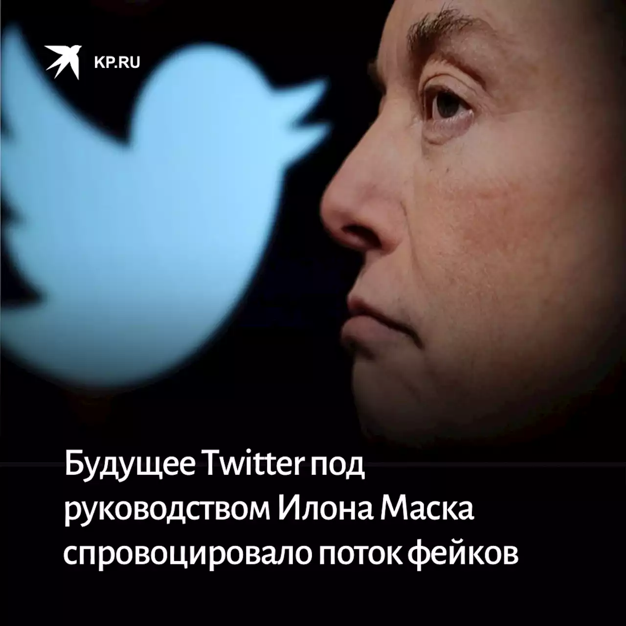 Будущее Twitter под руководством Маска спровоцировало поток фейков