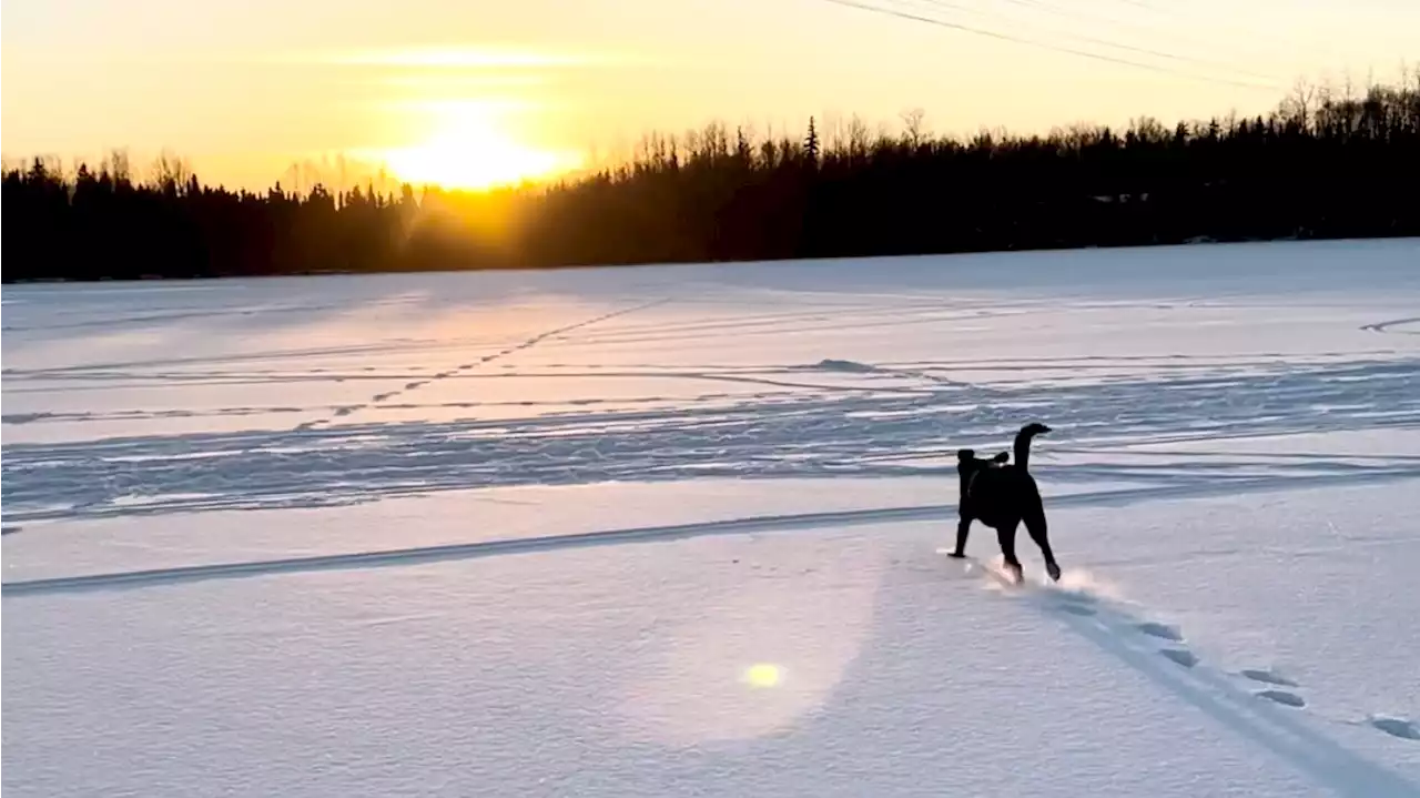 Alaska sees third La Niña winter forecast in a row