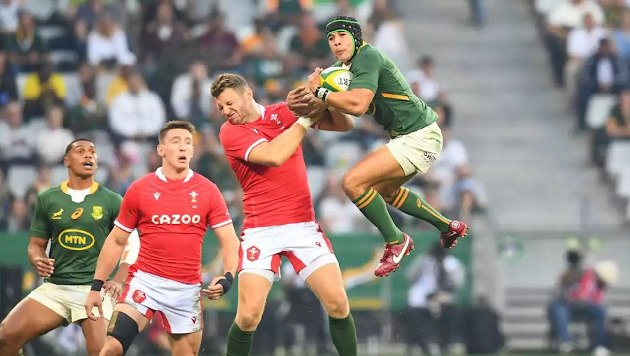 France-Afrique du Sud : une vieille connaissance du Stade Toulousain titulaire avec les Boks pour défier le XV de France samedi à Marseille