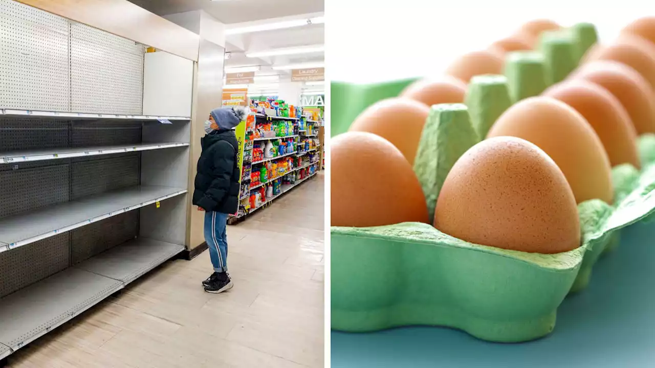 Could eggs shell-out? Bird flu sees shoppers scramble as supermarket rationing looms