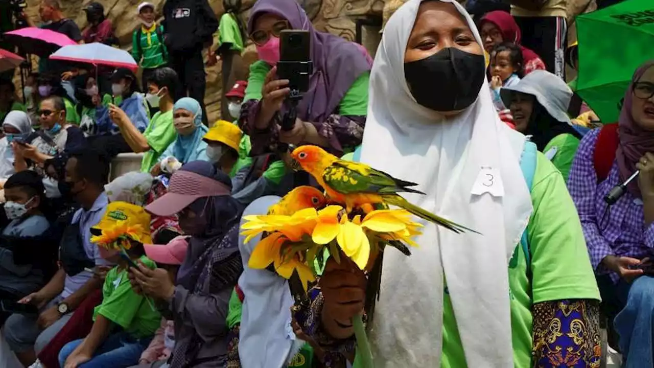 Top 3 Berita Hari Ini: Berinteraksi dan Bermain dengan Ratusan Burung di Jakarta Bird Land