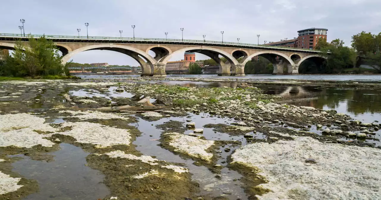 L’Europe a connu son mois d’octobre le plus chaud jamais enregistré, selon Copernicus