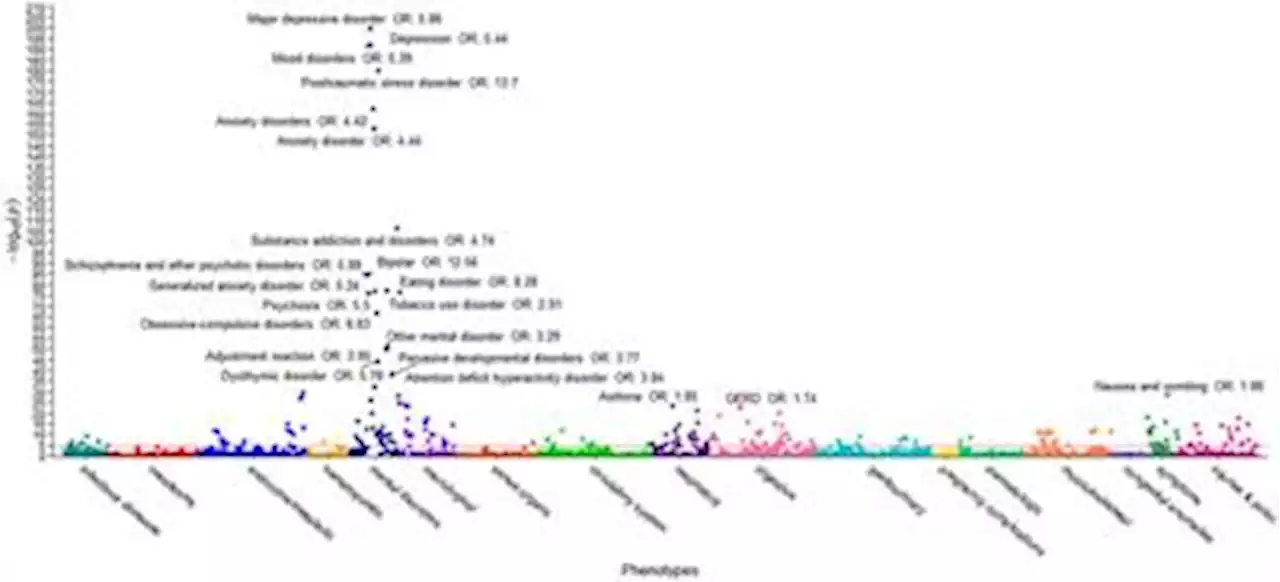 Frontiers | Using phenome-wide association studies and the SF-12 quality of life metric to identify profound consequences of adverse childhood experiences on adult mental and physical health in a Northern Nevadan population