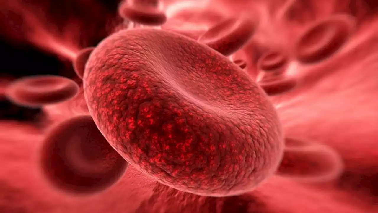 Red Blood Cells Made to Deliver Antibiotics to Bacteria