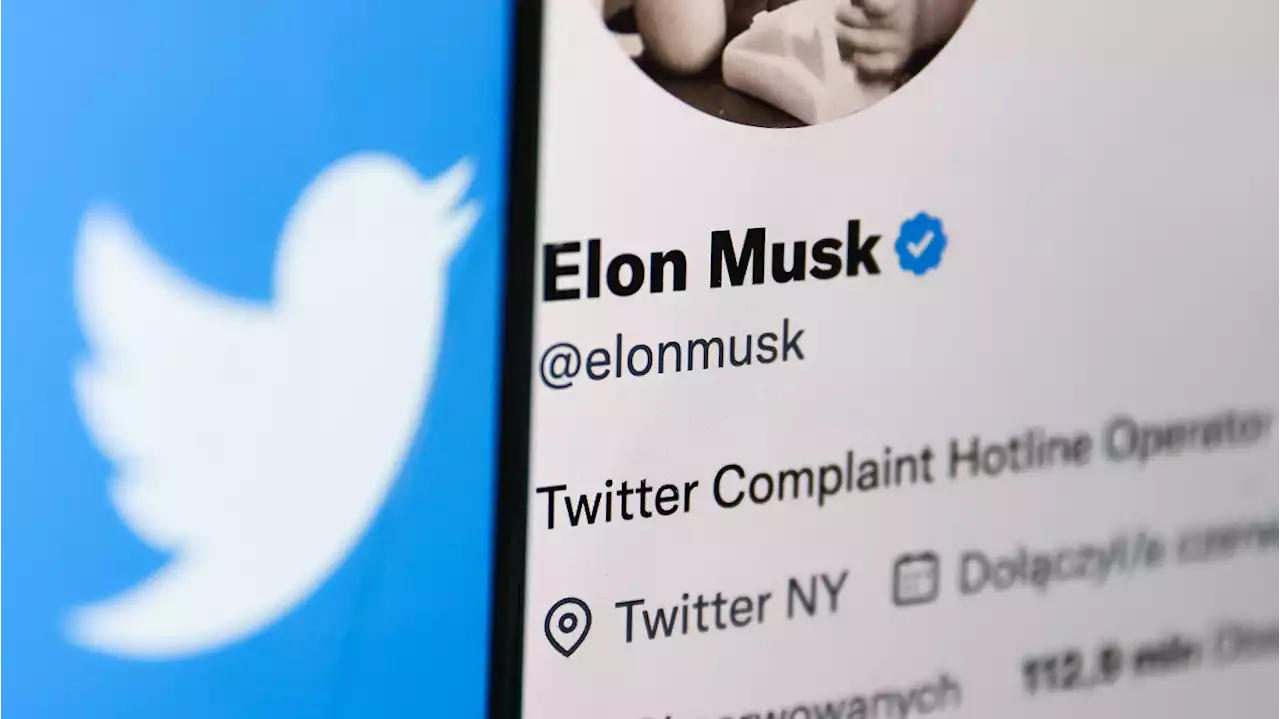 Musk denkt über kostenpflichtiges Twitter nach